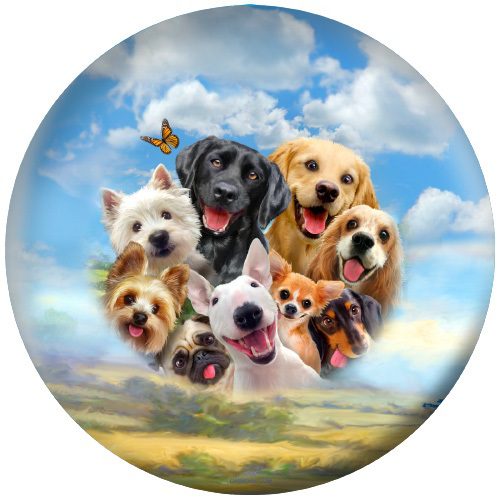 OTB Dogs Selfie Bowling Ball - Image 2