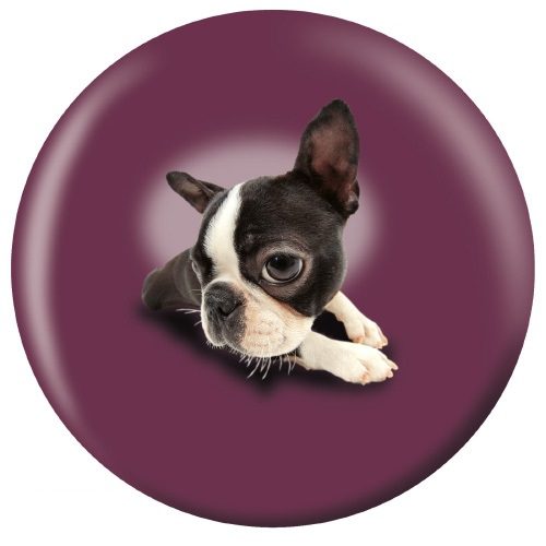 OTB Boston Terrier Puppies Bowling Ball