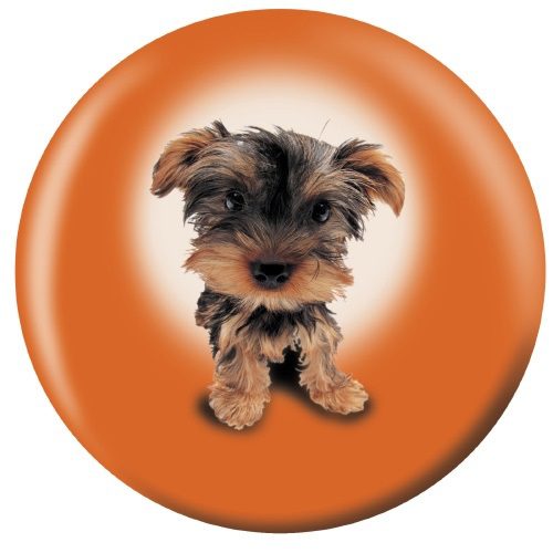 OTB Yorkshire Terrier Puppies Bowling Ball