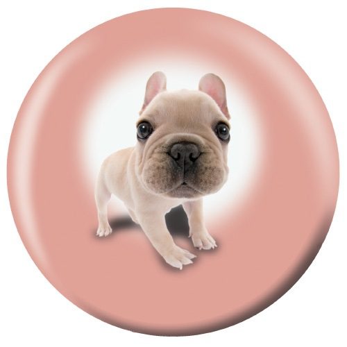 OTB French Bulldog Puppies Bowling Ball