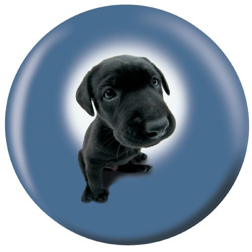 OTB Labrador Retriever Puppies Bowling Ball