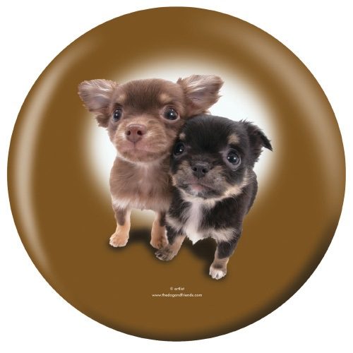 OTB Chihuahua Puppies Bowling Ball - Image 2
