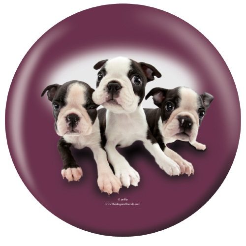 OTB Boston Terrier Puppies Bowling Ball - Image 2