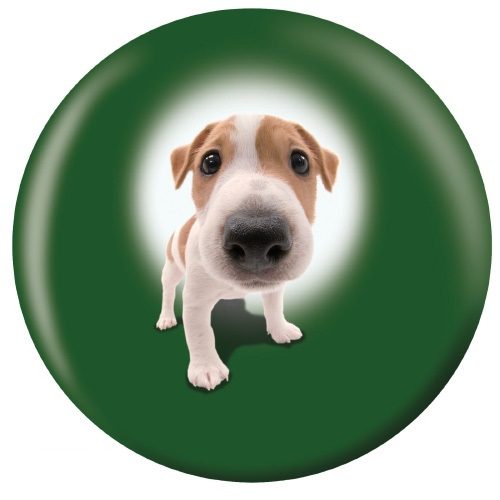 OTB Jack Russell Terrier Puppies Bowling Ball