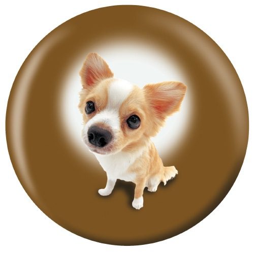 OTB Chihuahua Puppies Bowling Ball