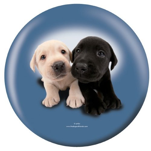 OTB Labrador Retriever Puppies Bowling Ball - Image 2