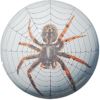 Professional Bowling Systems PBS Spider Overseas Bowling Ball
