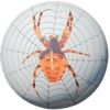 Professional Bowling Systems PBS Spider Overseas Bowling Ball - Image 2