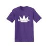 dt6000 purple