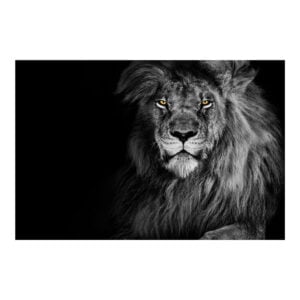 Plain Lion Bowling Towel