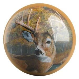 Back Forty Bucks bowling ball front