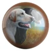 Hunting Companions bowling ball front