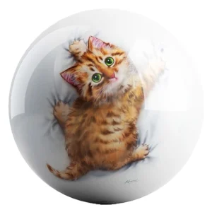 Hang On Kitty bowling ball front