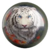 White Tiger Watching You bowling ball front