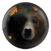 Contemplation - Grizzly Bear bowling ball front