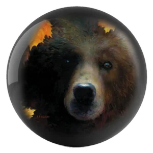 Contemplation - Grizzly Bear bowling ball front