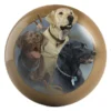 Three Labs bowling ball front