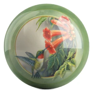 Hummingbird bowling ball front