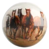 Break Away - Wild Horses bowling ball front