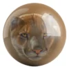 Mountain Lion bowling ball front